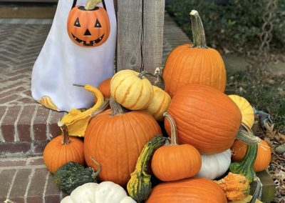 Fall Decor