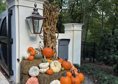 Fall Decor